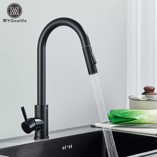 AquaStream Pro - Dual Function Black Pull-Out Kitchen Faucet